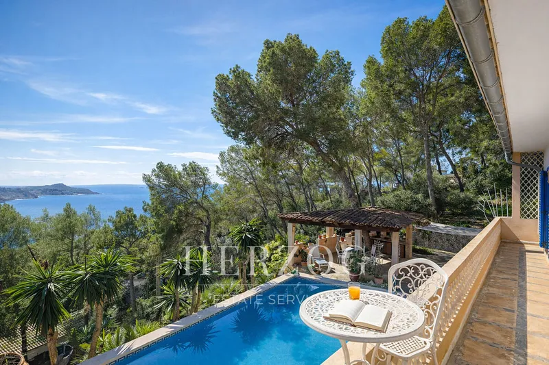Ocean-view villa with a large lot and development potential in Paguera — photo 1