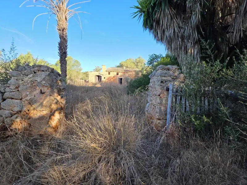Located in an idyllic setting, surrounded by nature and a step from Costitx, we offer this rustic estate of about 36,000m2 populated with vegetation — photo 2