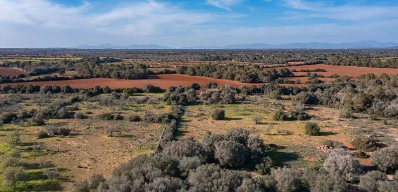 Rustic estate near Cala Pí — 136,400 m², Llucmajor area, 10 min from the coast — photo 2