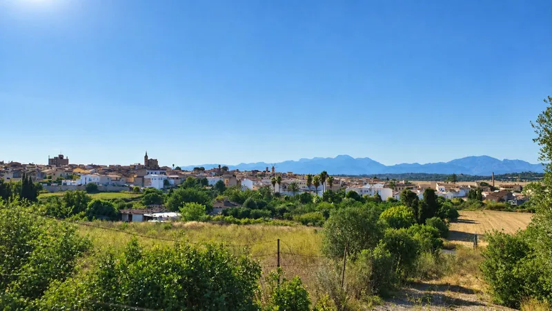 Rustic plots for 3 homes in Santa Margalida with sea views — photo 1
