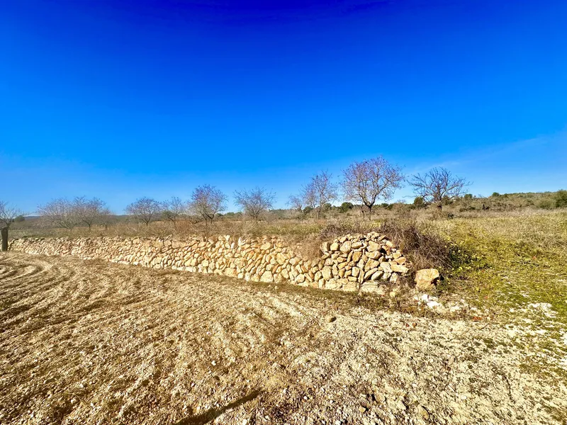 Building plot with project in a fantastic location — photo 5