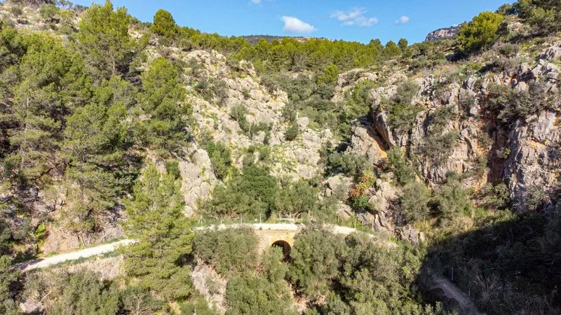 Land in Esporles, Province of Balearic Islands — photo 9
