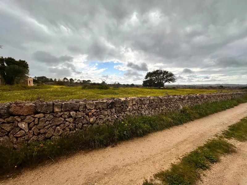 Rustic plot of 18,000 m2 in Sineu with building permit — photo 1