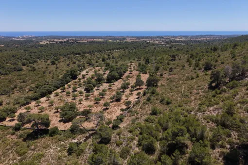 Cala Mandia, Unique plot with spectacular sea views and building project in Manacor — photo 2