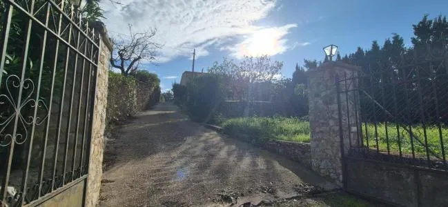Rustic property - Alaró — photo 2