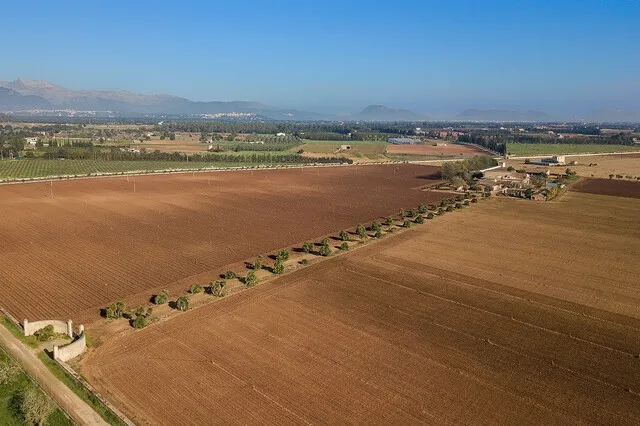 Enormous Mallorca country property with investment potential for sale in Llubí, Mallorca — photo 12
