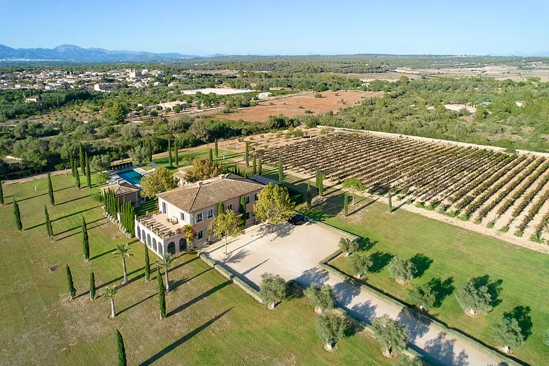 Luxury finca with private vineyard - Marcel Remus Real Estate — photo 4