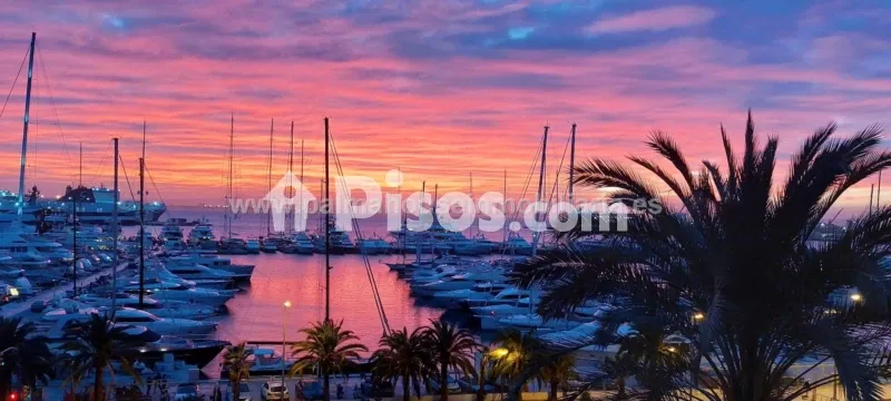 Apartment in El Terreno — photo 3