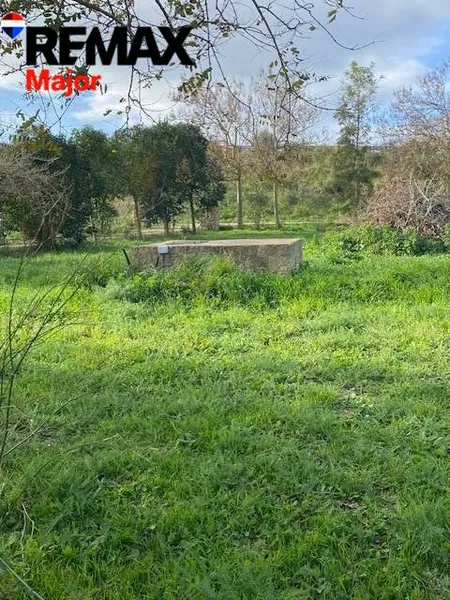 Mediterranean Sanctuary near Sineu – 3.5 Hectares of Pure Nature — photo 10