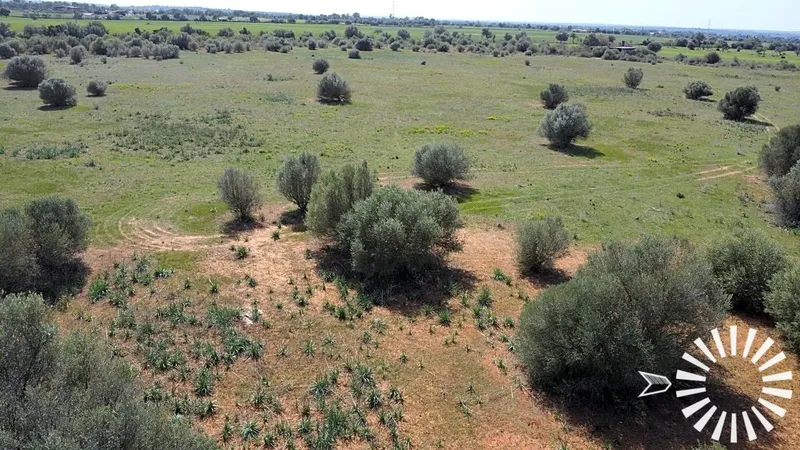 Country Estate for sale in Campos of 62000 m2 — photo 7