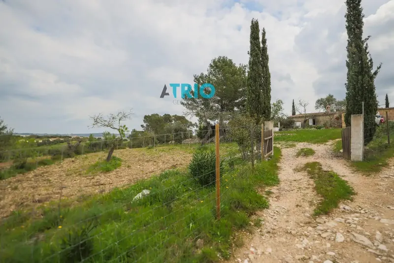 Discover the charm of rural life in Montuïri! We present this rustic finca to renovate, a peaceful refuge with a strategic location near the town center. — photo 5