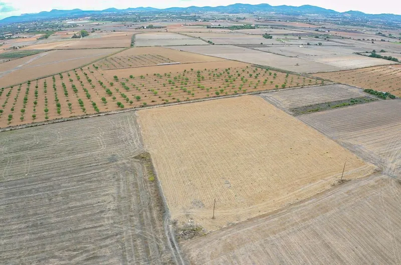 Plot with project in Son Valls — photo 4