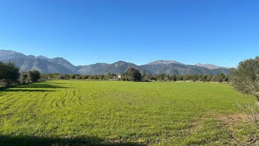 Plot of land - Selva, Plot Surface 14711m² — photo 1
