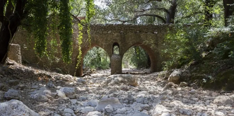 Building Plot for Sale in Pollença Pueblo, Pollença, Mallorca, Baleares, Spain — photo 6