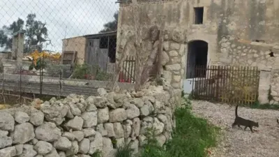 Rustic house in Llubí — photo 3