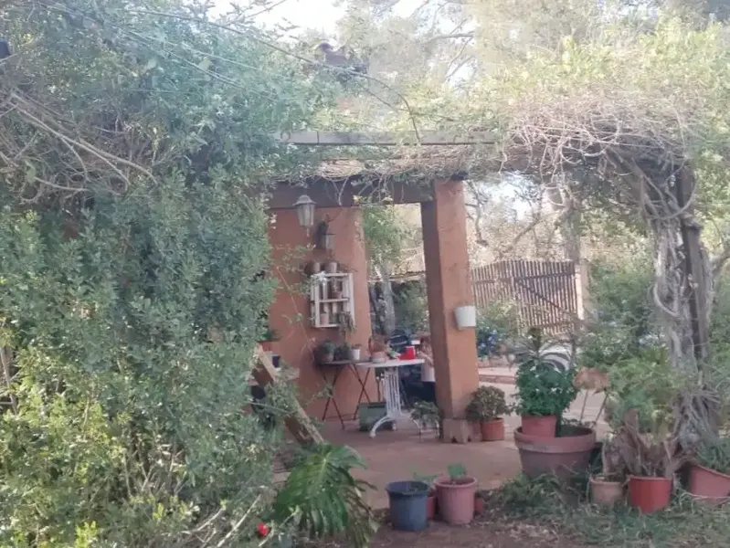 Country house with solar energy and cistern water. Ideal for nature and ecology lovers. Large plot of land for garden — photo 3