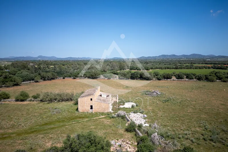 Old finca to renovate between Felanitx and Vilafranca — photo 2