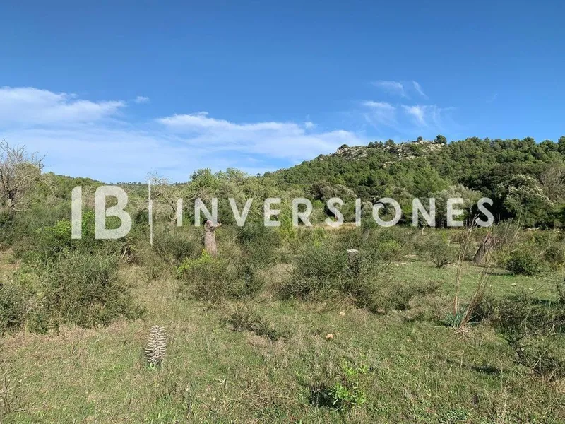 Land in Capdepera, Province of Balearic Islands — photo 4