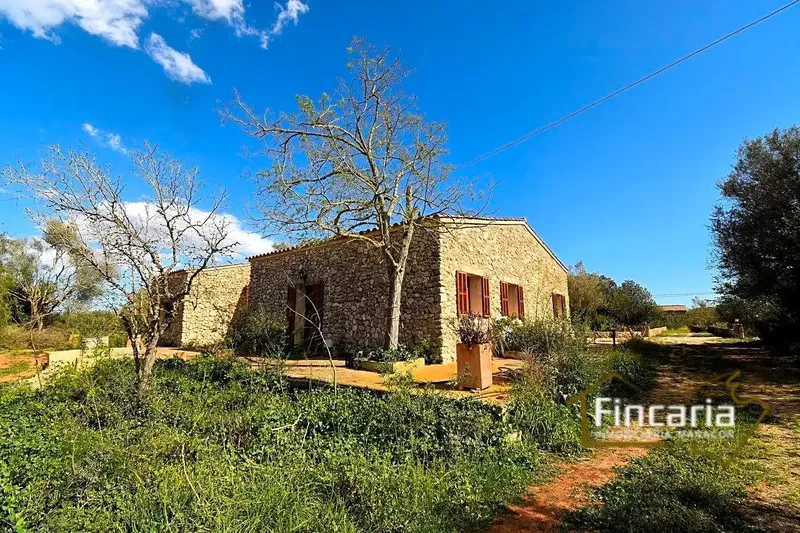 Exceptional rustic house in Mallorcan style in perfect condition, located in the Sa Ribera area 8 km from the town of Manacor — photo 7