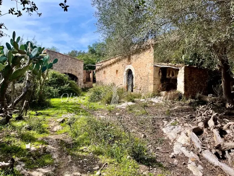 Ruin in Sineu, Mallorca — photo 2