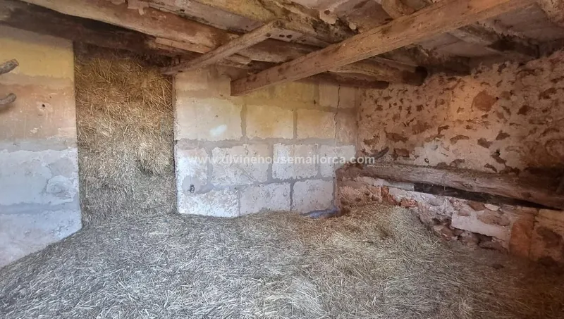 Finca to renovate in quiet area between Santanyí and Campos — photo 8