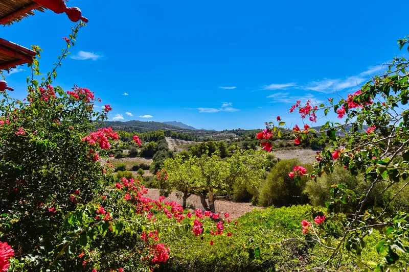 Extraordinary property with three buildings and panoramic sea views in Son Macià — photo 7