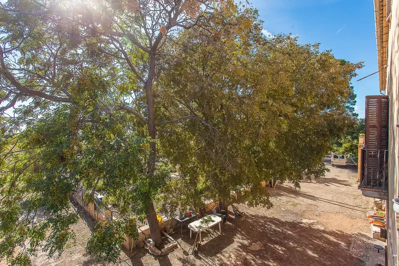 Attention, horse lovers and lovers of Mallorcan architecture! This exceptional rustic estate in Marratxí, located in the quiet area — photo 8