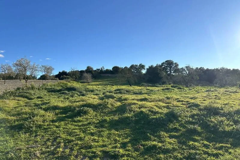 Rural Plot with Existing Building near Montuïri – Small Project with Potential — photo 4