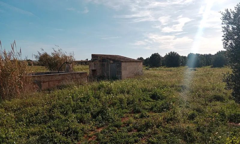 Large Country Plot near Campos — photo 1