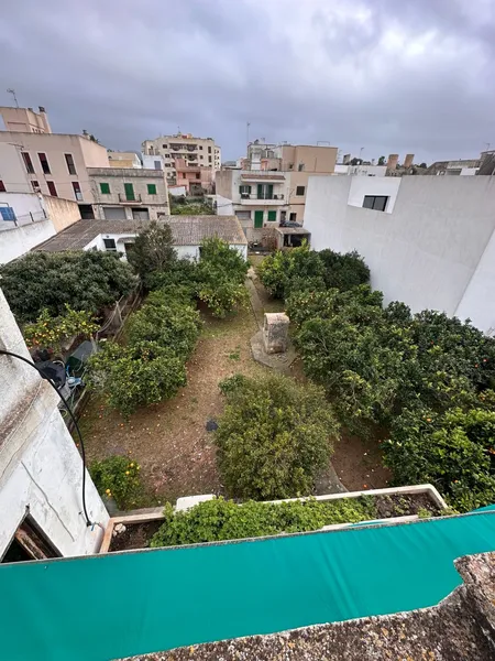 Detached Villa in Felanitx — photo 9
