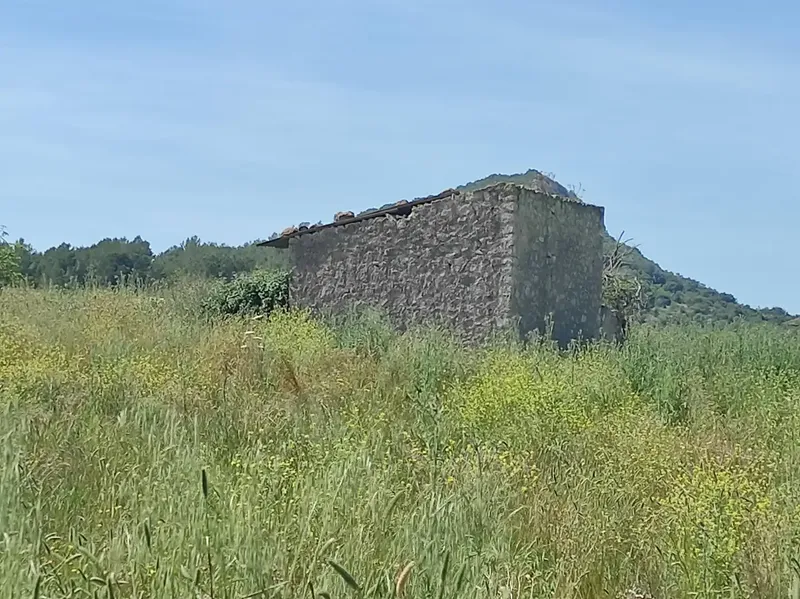 Fantastic Estate of 17,700m2 for Sale with Project for a 290m2 Single-Family Home in the Municipality of Sineu — photo 10