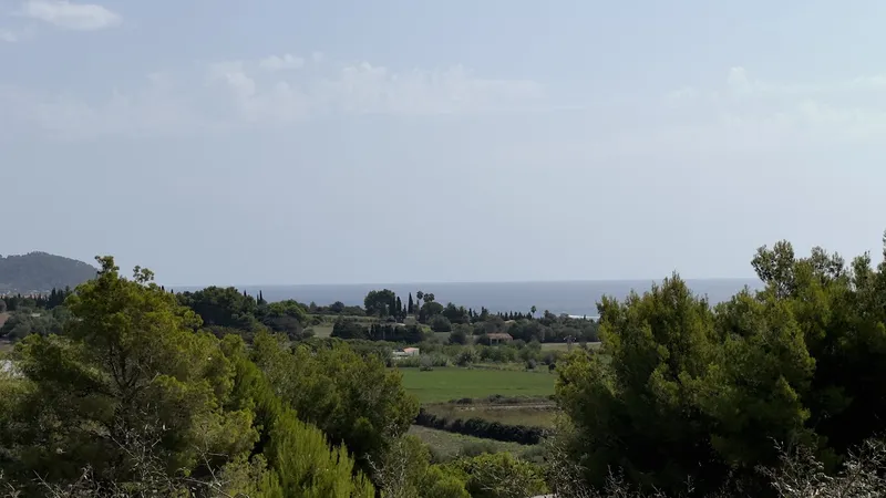 Plot in Son Servera - Project for a modern villa with pool — photo 5