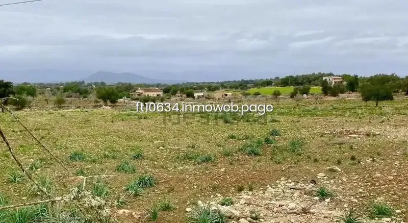 Only 3 km from the village of Sineu, we have this finca completely enclosed by Mallorcan dry stone wall and with a gate. Buildable land — photo 2
