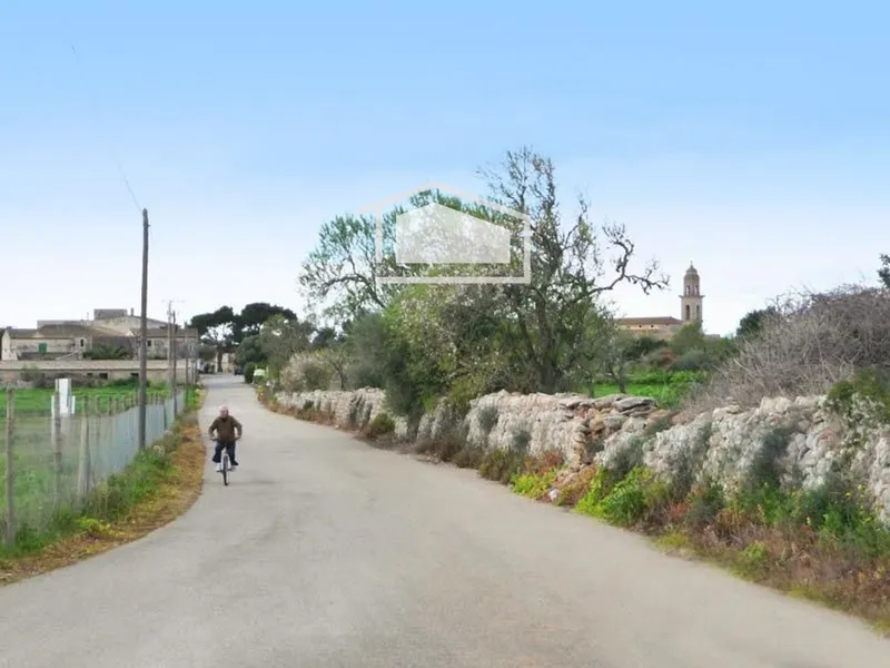 Rustic finca for sale in Ses Salines with 15,000 m2 — photo 5