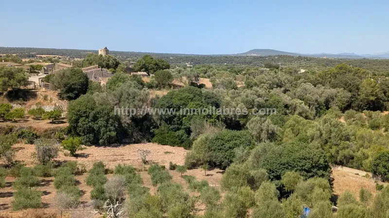 Piso en Costitx - Oportunidad en el Corazón de Mallorca — photo 3