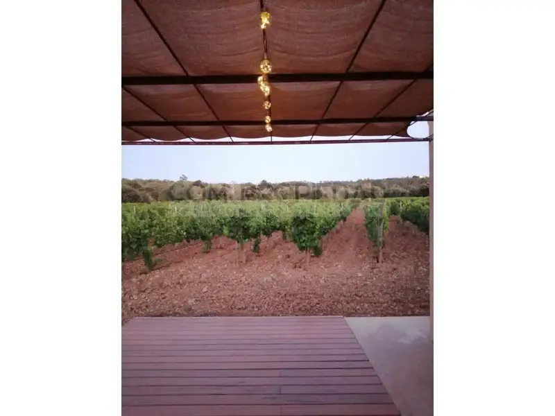 Charming winery with its own production located on a 13,599 m² rustic estate in Costitx, in the very heart of Mallorca. Surrounded by a p — photo 7