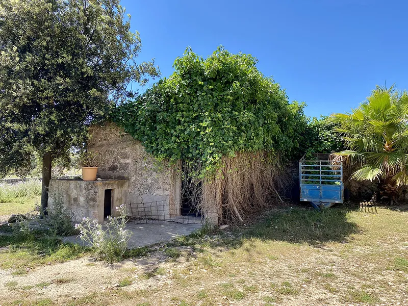 Impressive rustic finca with large plot of land — photo 6