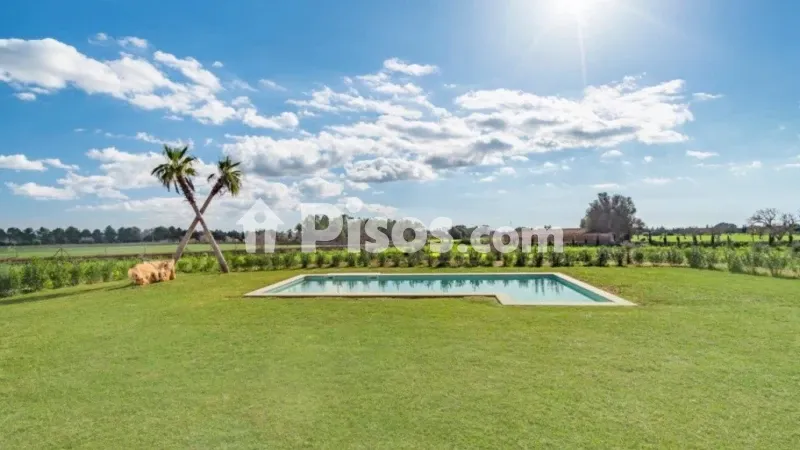 Rustic finca in Campos — photo 2