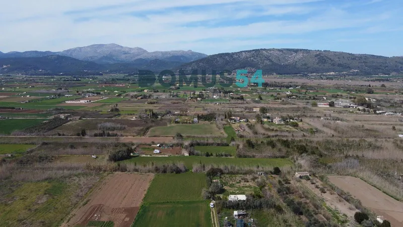 Rustic land not to be built on in Sa Pobla — photo 4