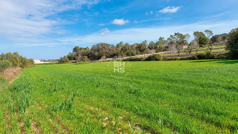 Country plot for sale in Muro — photo 9