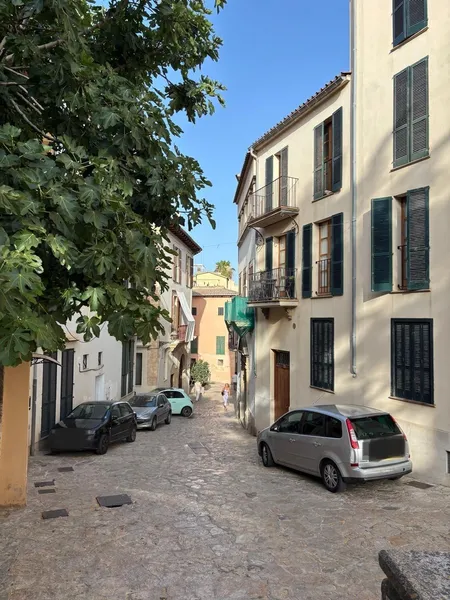 Ground Floor Duplex Exterior in La Lonja-Borne, Palma de Mallorca – Unique Opportunity for €510,000 — photo 12