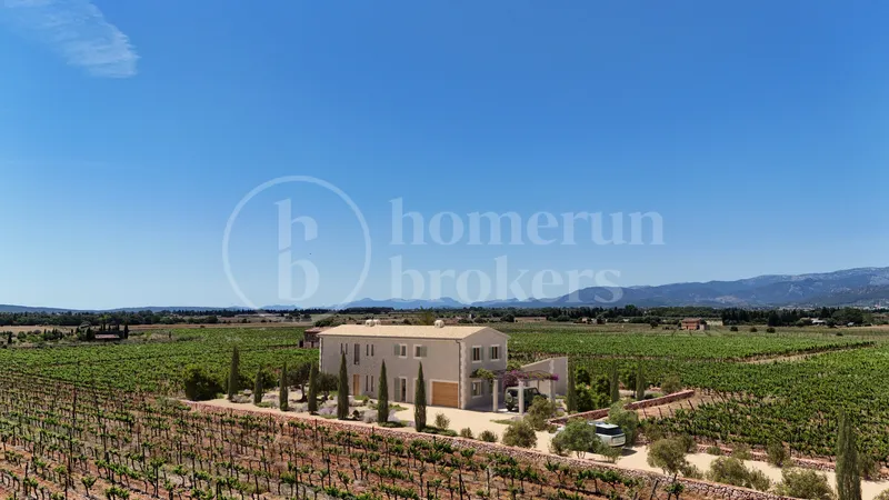 Finca Sa Vinya - Contemporary Mallorcan Estate — photo 8