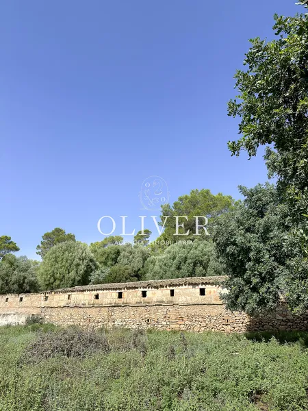 Beautiful finca with sea views in Alcudia — photo 8