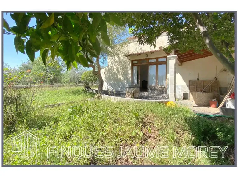 Si buscas tranquilidad en uno de los mejores pueblos de la isla situado a los pies de la sierra de Tramuntana, esta es la casa que estabas b — photo 12
