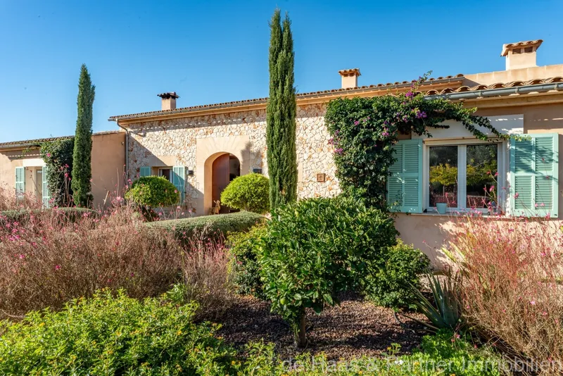 16,156m² finca with 8 rooms, pool and terrace for sale — photo 3