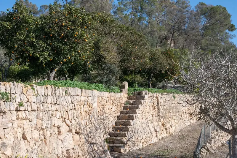 Don't miss the opportunity to visit one of the most outstanding estates in the municipality of Sineu. This property extends over approximately — photo 10