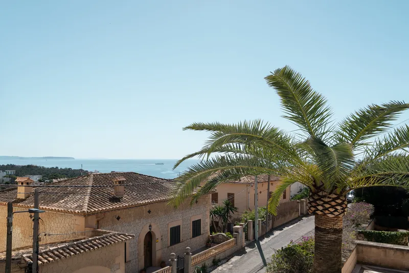 Gènova, Palma — photo 3