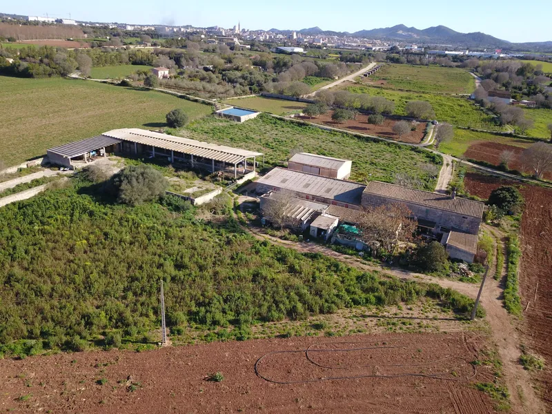 Finca for agricultural use with residential house in Manacor — photo 4