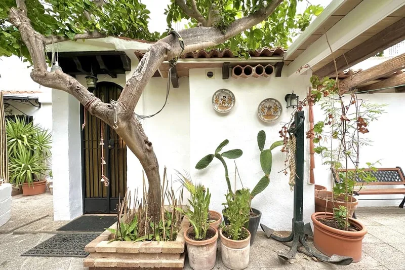 Nice apartment with private outdoor space in Cala Nova — photo 1