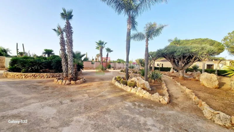 Plot for sale – Ses Salines (Mallorca) — photo 10
